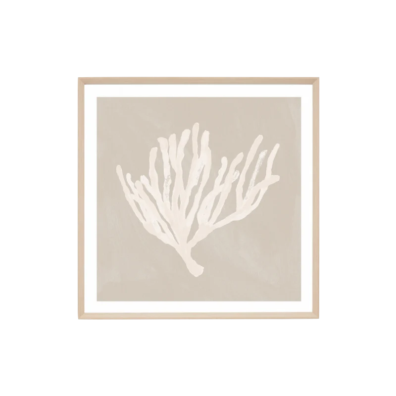 Print Coral Study Sand1 Raw 84x84