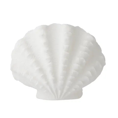 Lamp Scallop  Outdoor