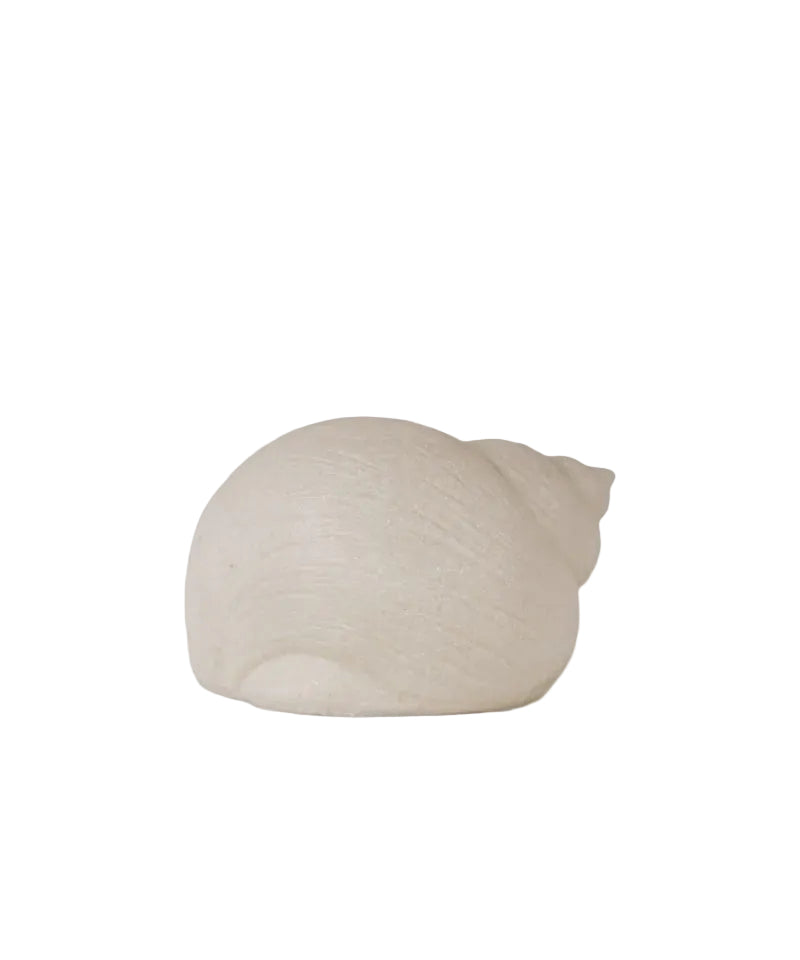 Shell Snail Decorative Light Up