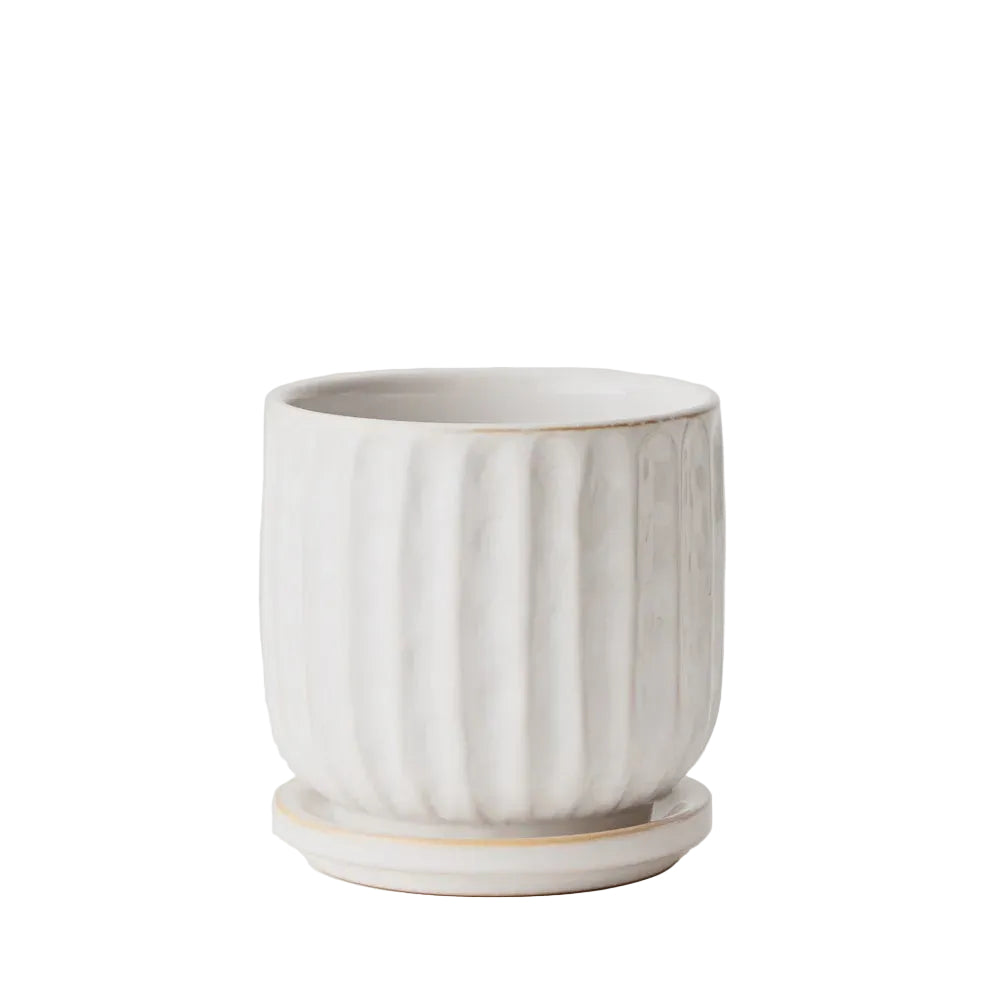 Pot Clovelly W/Saucer 12cm