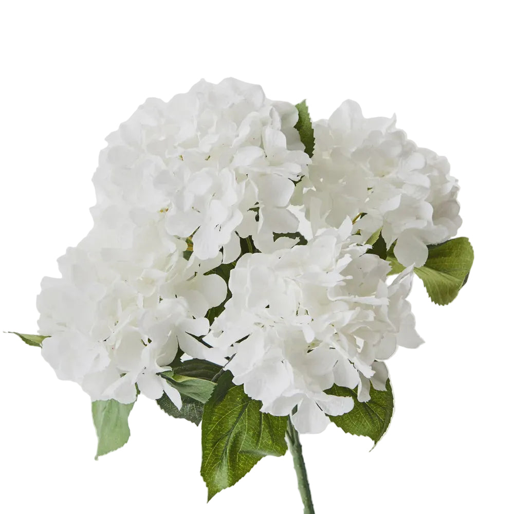 Hydrangea Bush White 46cm