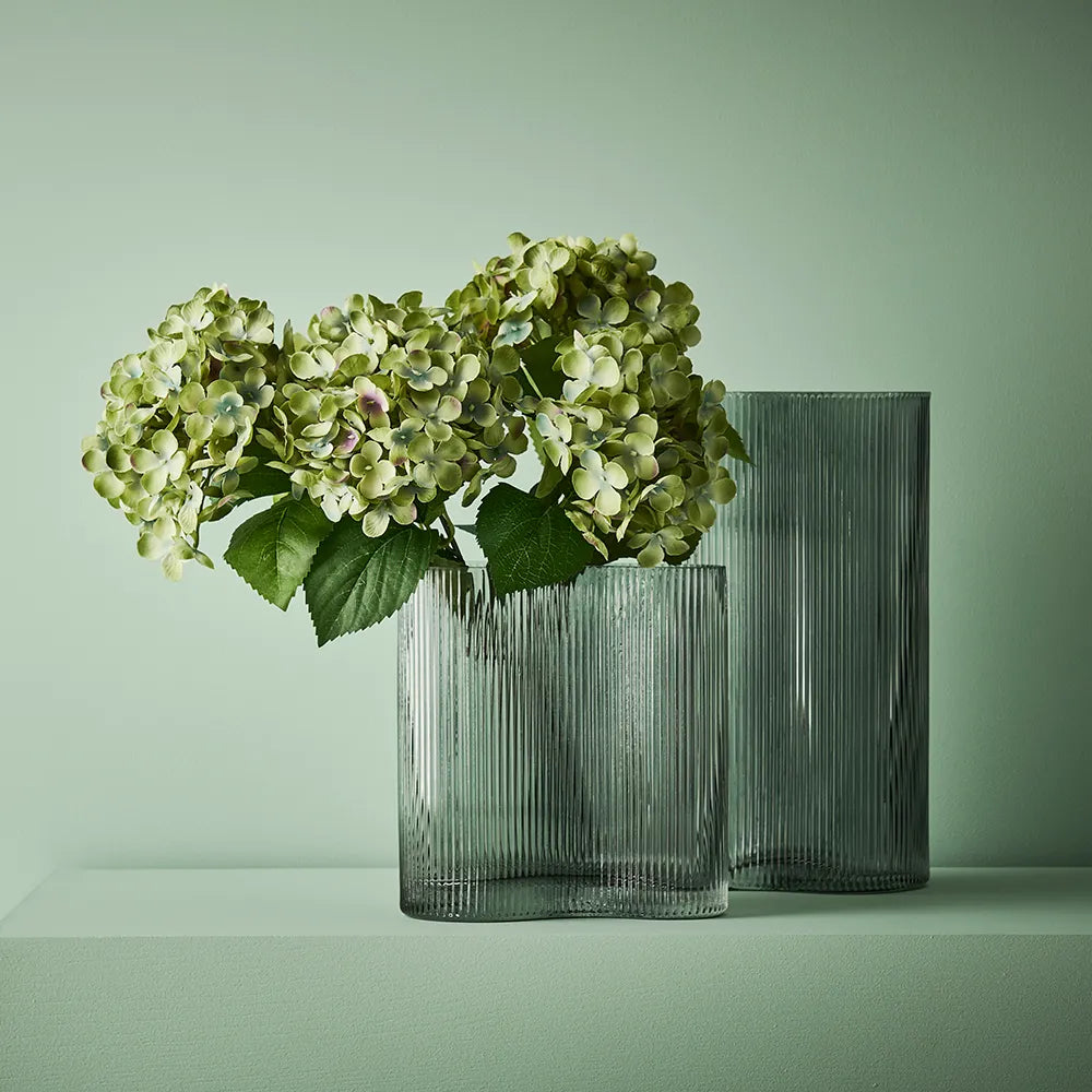Hydrangea Bush