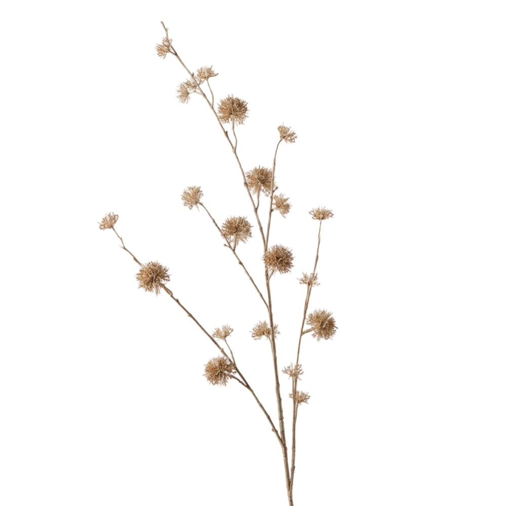 Chestnut Spray