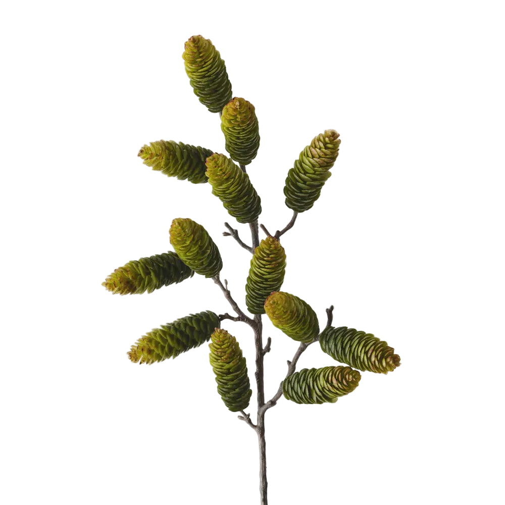 Pine Cone Spray